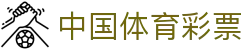 足球彩票比分直播_足球竞彩即时比分查询与五大联赛数据